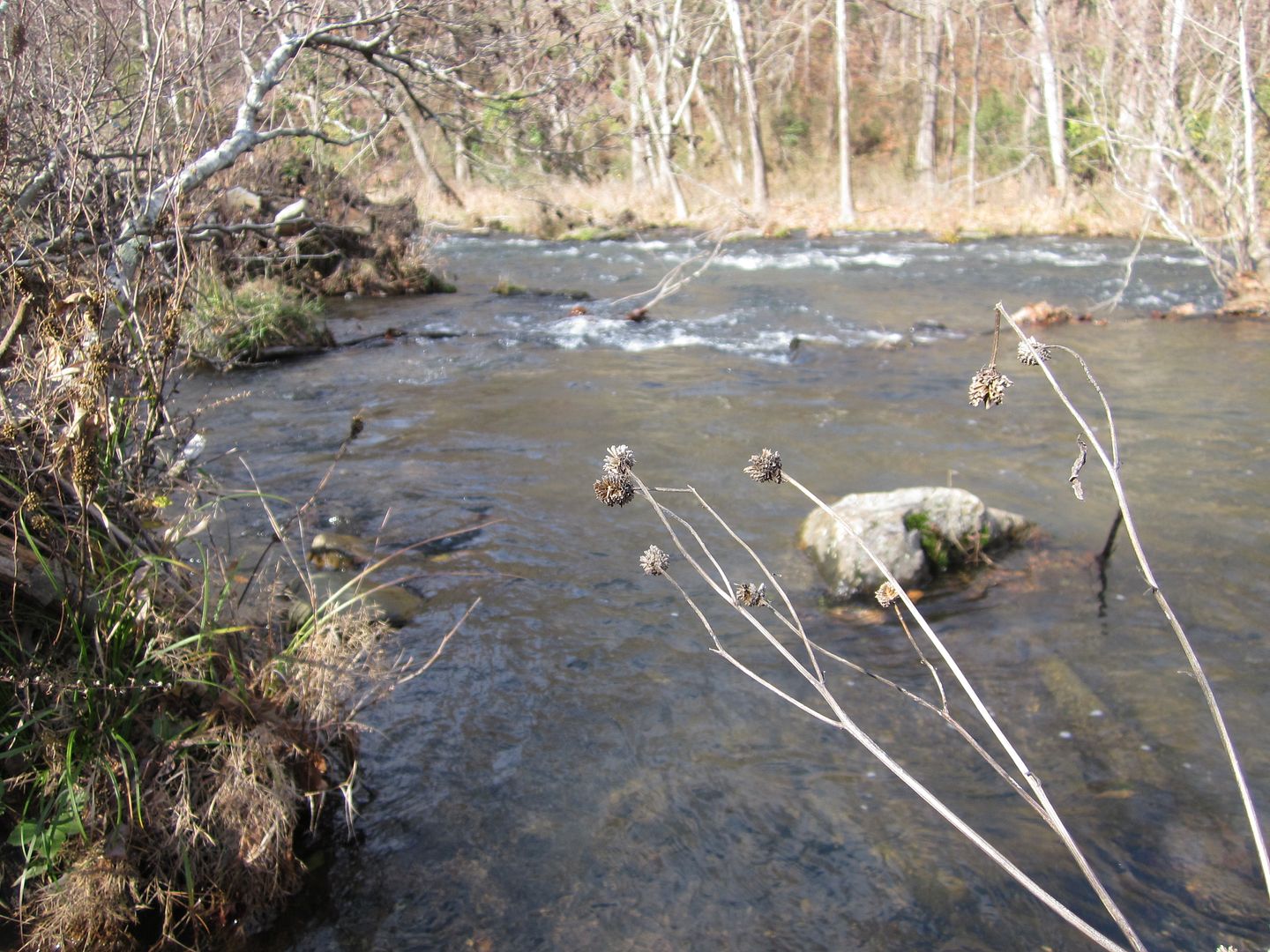 Lower Mt Fork River Broken Bow,OK Trout Fishing Report With Pics